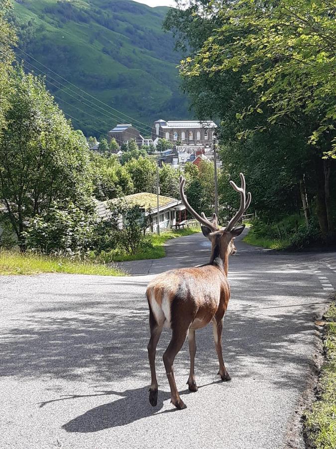 Etive Pod, West Highland Way Holidays Kinlochleven Esterno foto